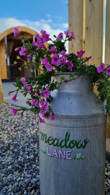 Appartement Meadow Lane à Sligo Extérieur photo